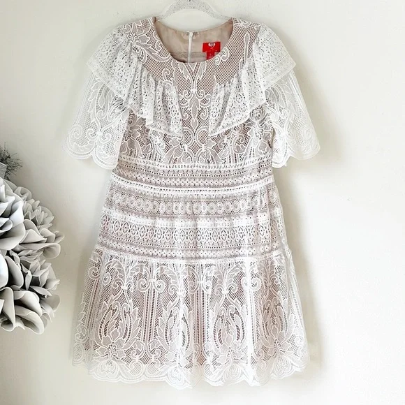 NWOT MONIQUE LHUILLIER Lace Dress; A-Line, Short Sleeves, Jewel Neckline - Picture 4 of 8